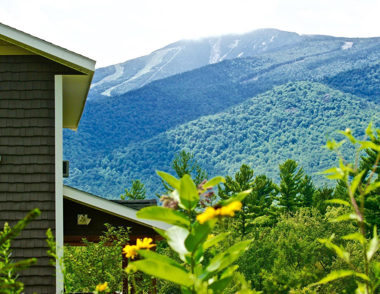 Вилла Lookout Mountain Chalet Уилмингтон Экстерьер фото